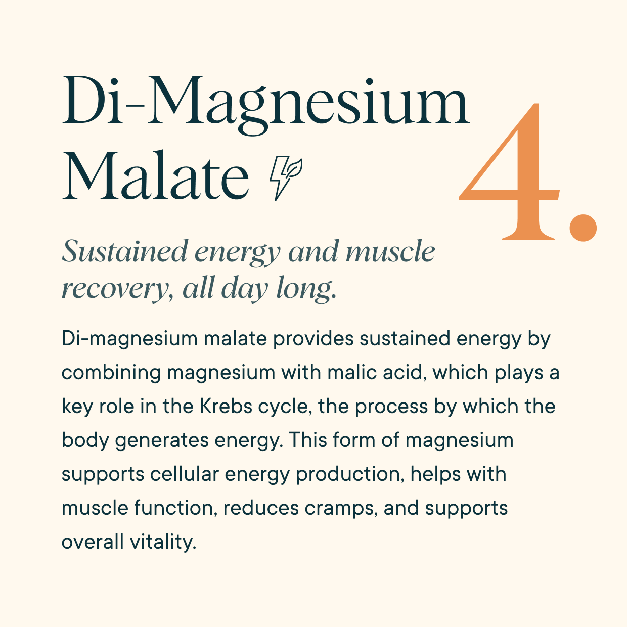 4-in-1 Magnesium Powder Supplement