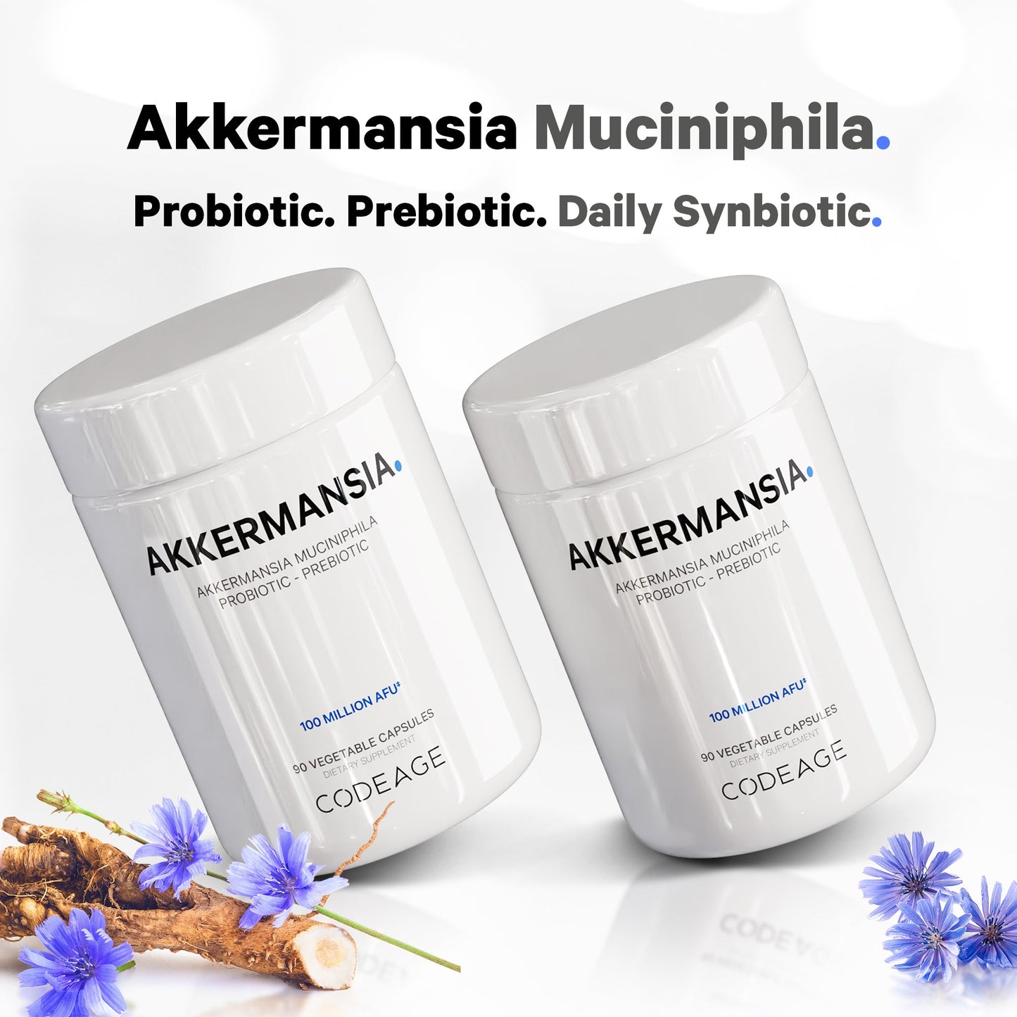 Akkermansia