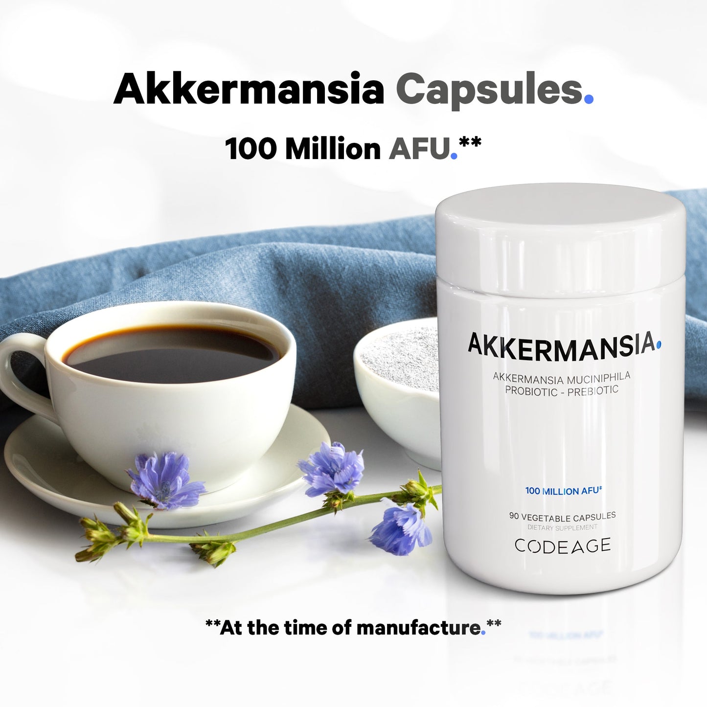 Akkermansia