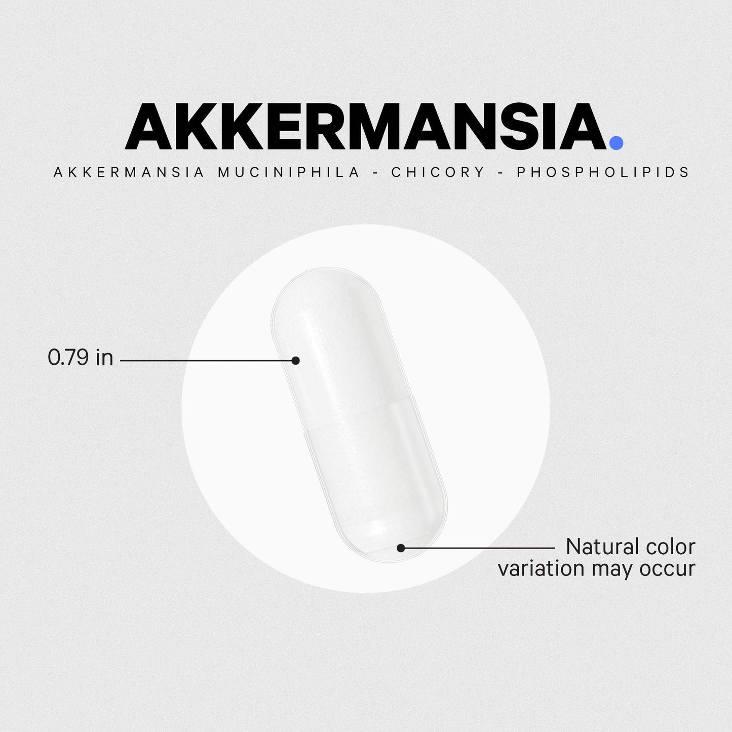 Akkermansia